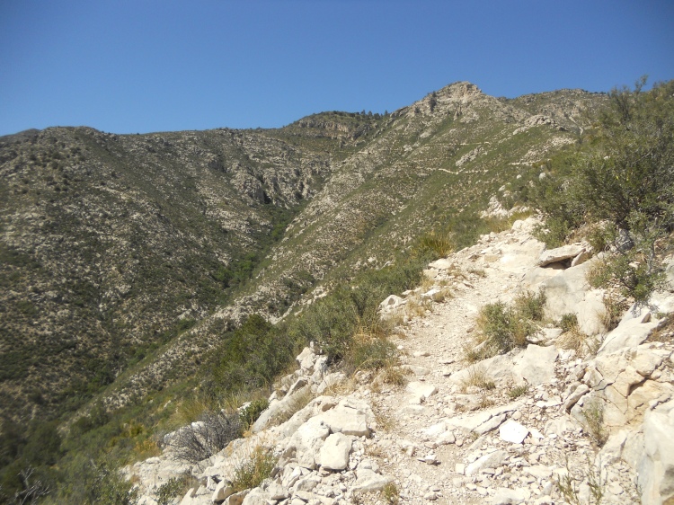 guadalupe mountains 009